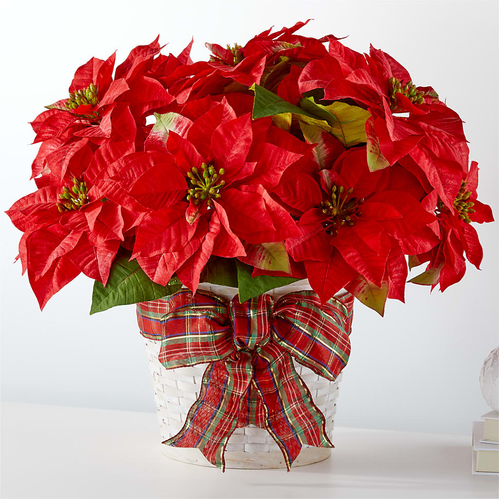 Happiest Holidays Poinsettia – The Flower Basket, Lebanon MO