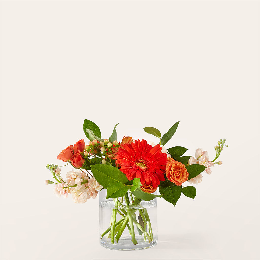 Paloma Please Bouquet – The Flower Basket, Lebanon MO