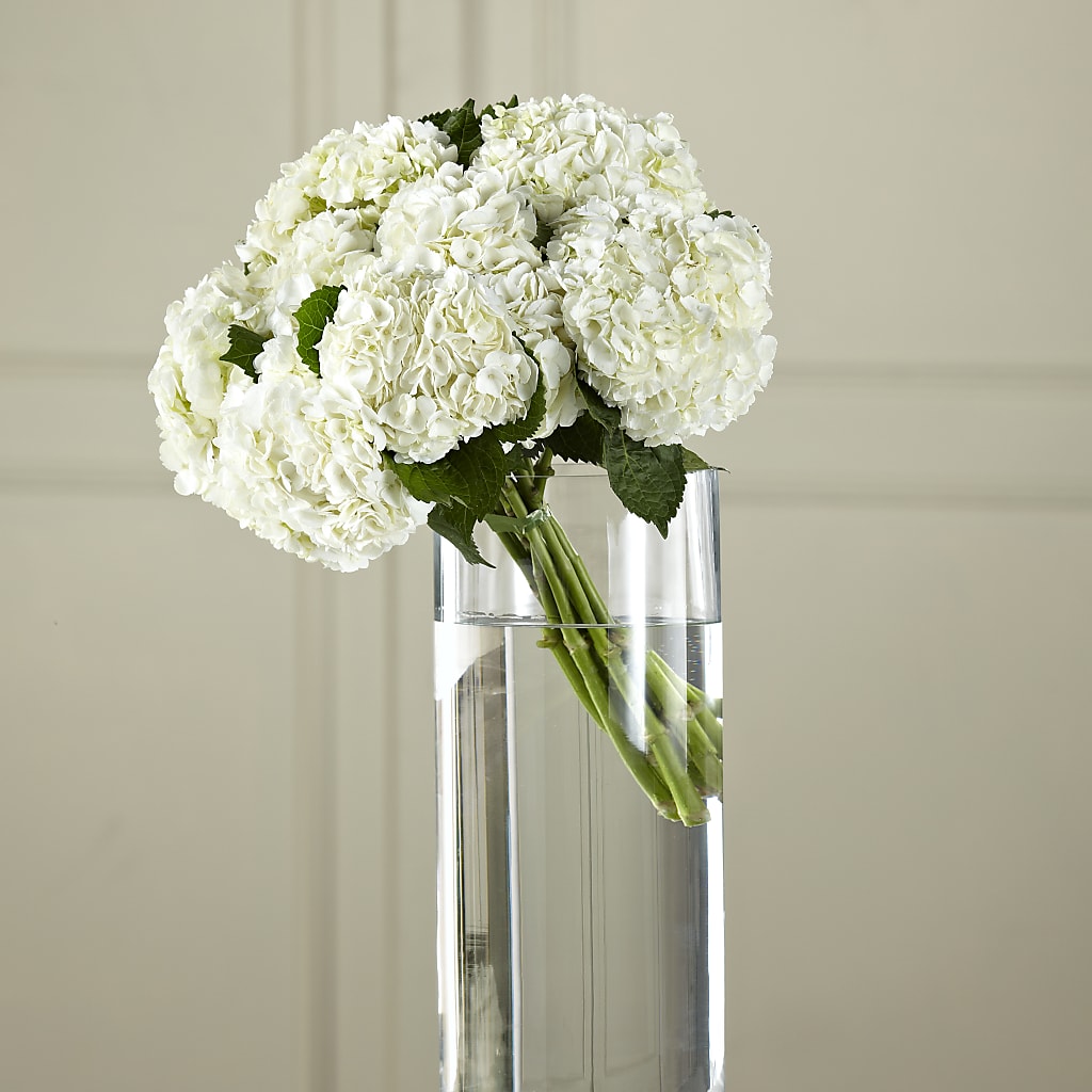 White Hydrangea Hand-Tied Bouquet – The Flower Basket, Lebanon MO