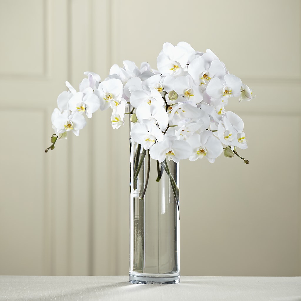 White Phalaenopsis Bouquet – The Flower Basket, Lebanon MO