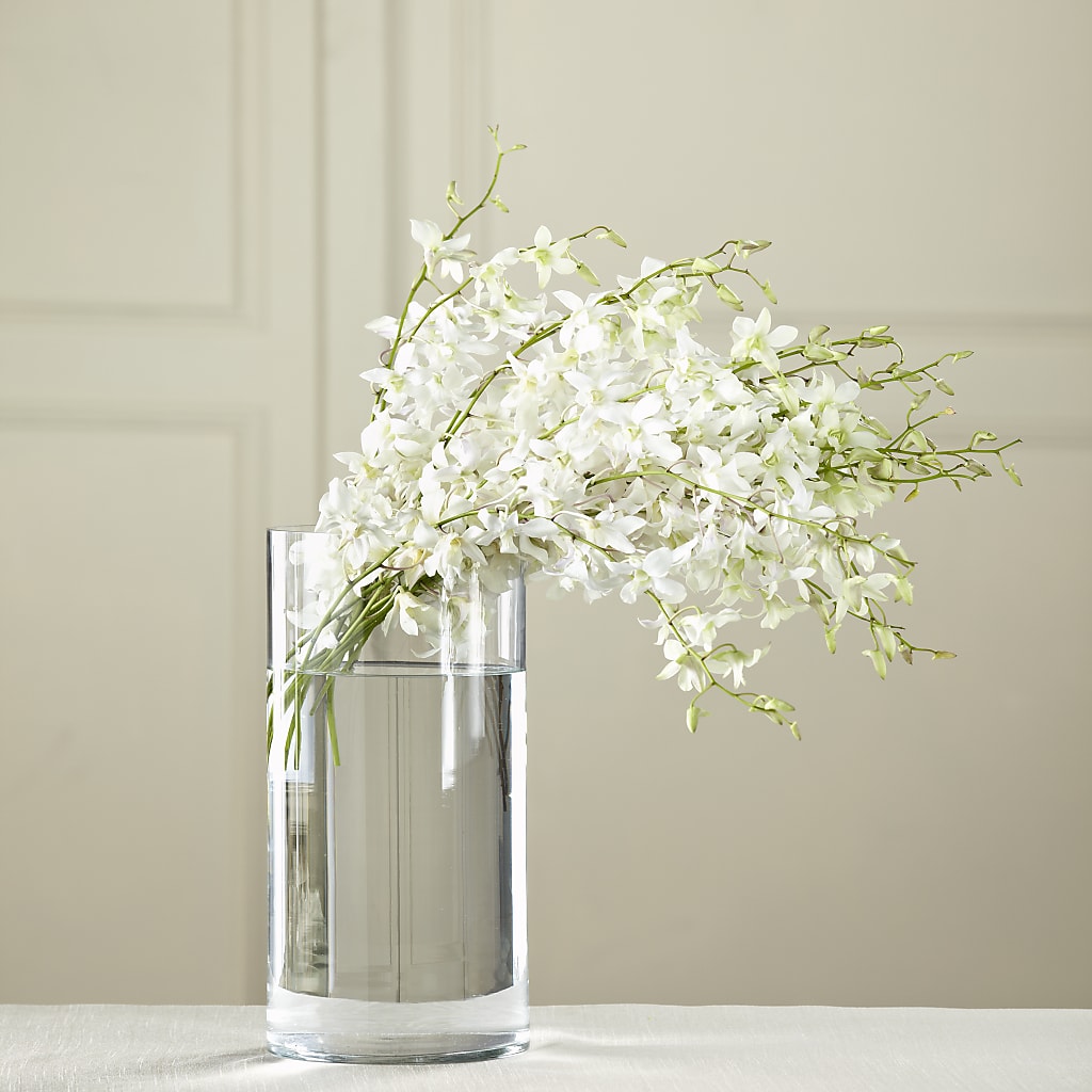 White Dendrobium Bouquet – The Flower Basket, Lebanon MO