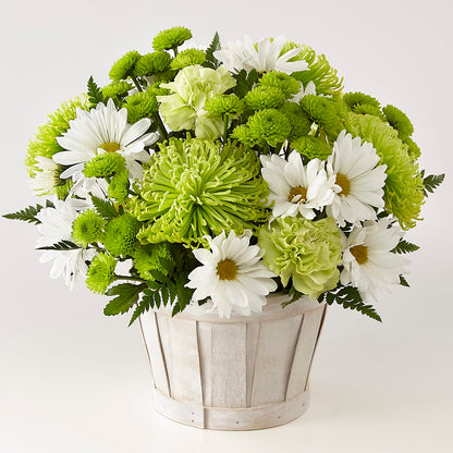 Lucky Charm Basket (Standard) –  The Flower Basket, Lebanon MO