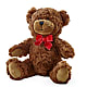 Adorable Plush Bear –  The Flower Basket, Lebanon MO