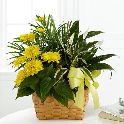 Loving Light Dishgarden –  The Flower Basket, Lebanon MO
