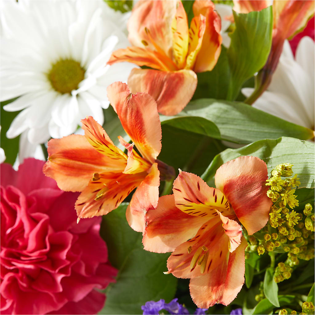 Oopsie Daisy Box Bouquet –  The Flower Basket, Lebanon MO