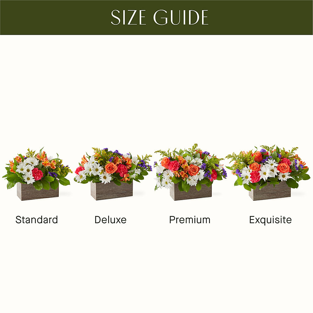 Oopsie Daisy Box Bouquet –  The Flower Basket, Lebanon MO