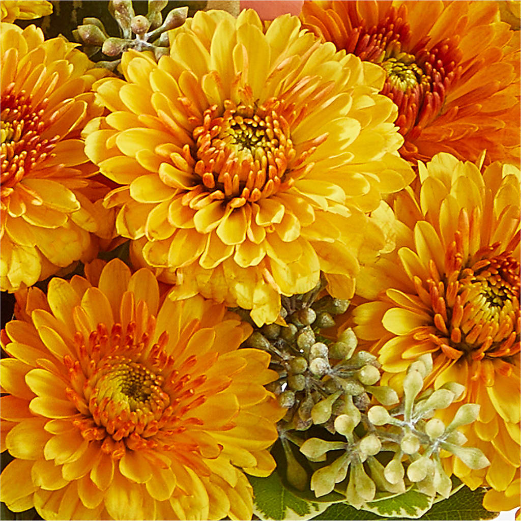 Peachy Pumpkin –  The Flower Basket, Lebanon MO