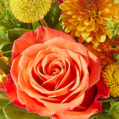 Gourdgeous Pumpkin –  The Flower Basket, Lebanon MO
