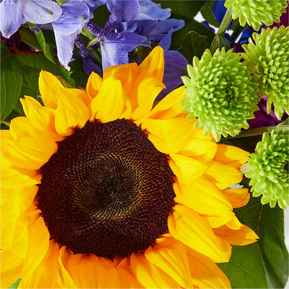 Catching Rays Bouquet –  The Flower Basket, Lebanon MO