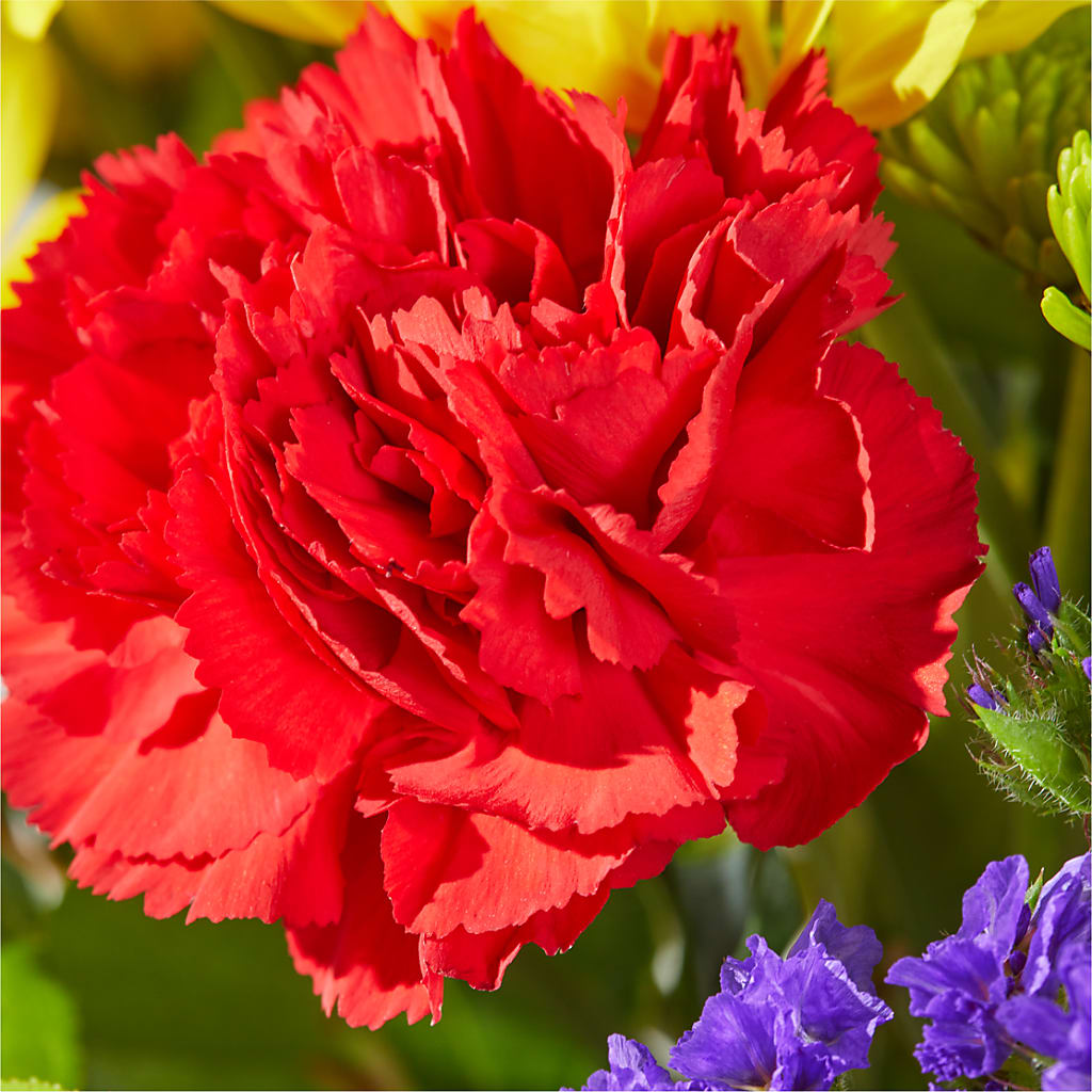 Brighter Days Bouquet –  The Flower Basket, Lebanon MO