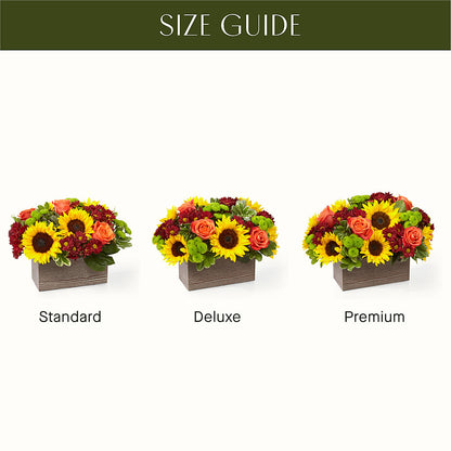 Happy Harvest Garden –  The Flower Basket, Lebanon MO