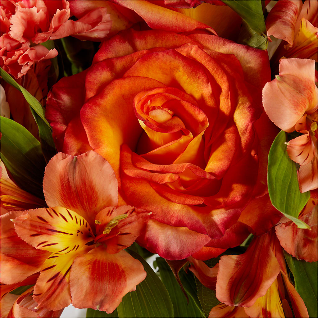 Apricot Glow Bouquet –  The Flower Basket, Lebanon MO