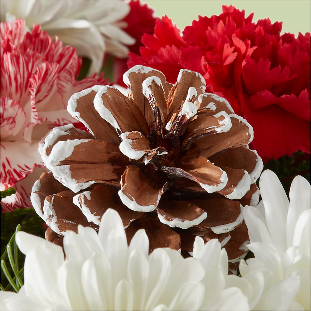 Candy Cane Lane Bouquet –  The Flower Basket, Lebanon MO