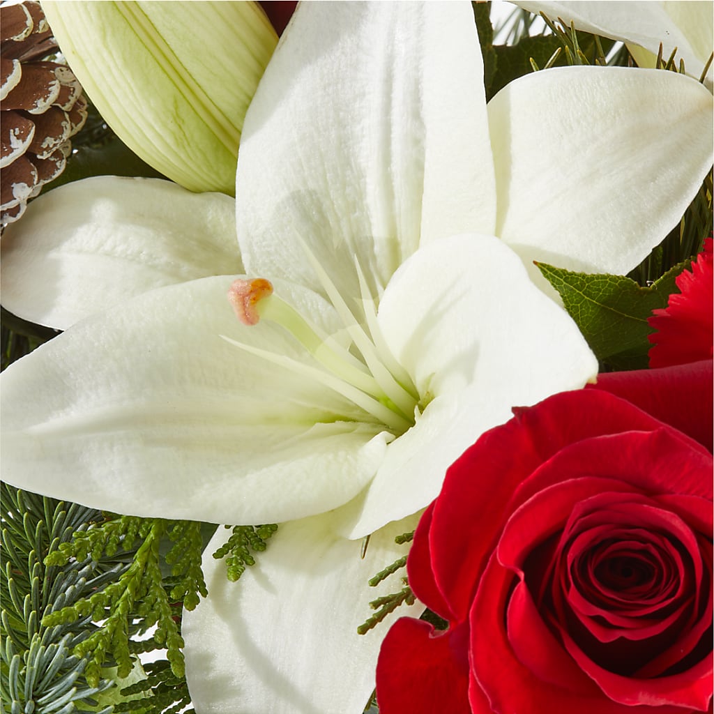 Oh So Jolly Bouquet –  The Flower Basket, Lebanon MO
