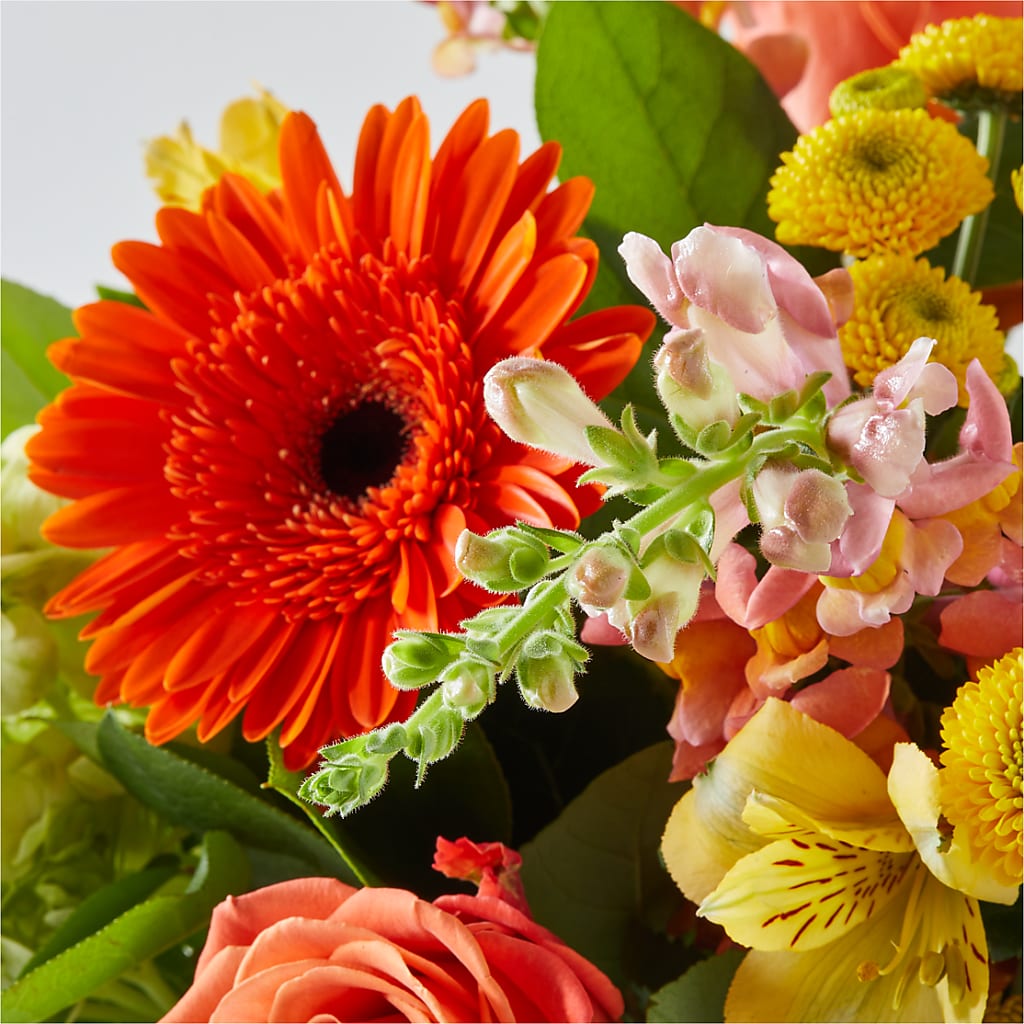 Autumn Sunshine Bouquet –  The Flower Basket, Lebanon MO