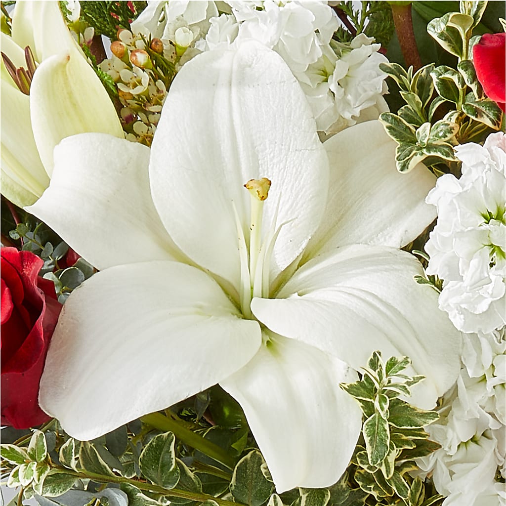 Twinkle Lights Bouquet –  The Flower Basket, Lebanon MO