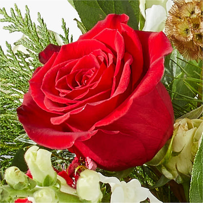 Deck the Halls Bouquet –  The Flower Basket, Lebanon MO